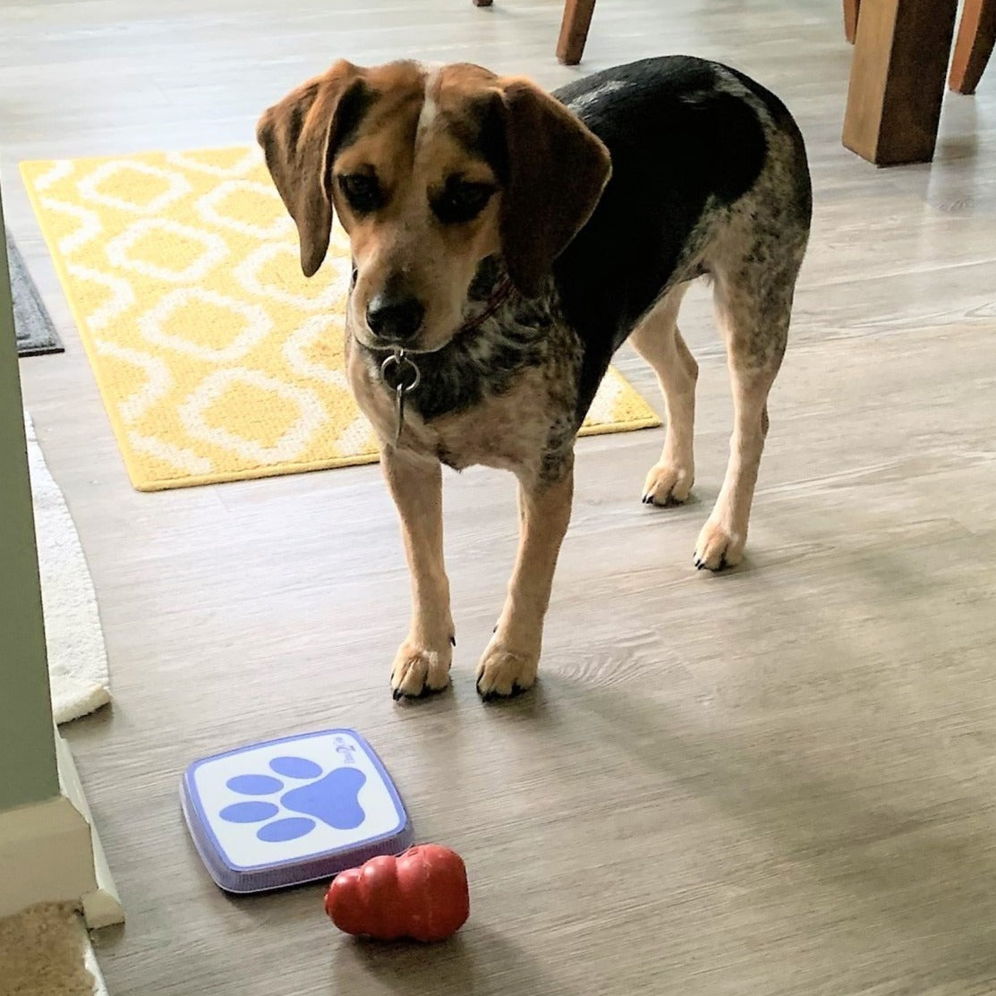 Marci standing next to the Paws2Go doggy doorell
