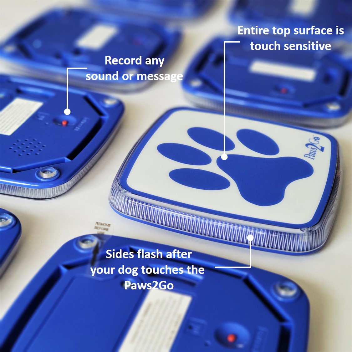 Paws2Go dog doorbell features