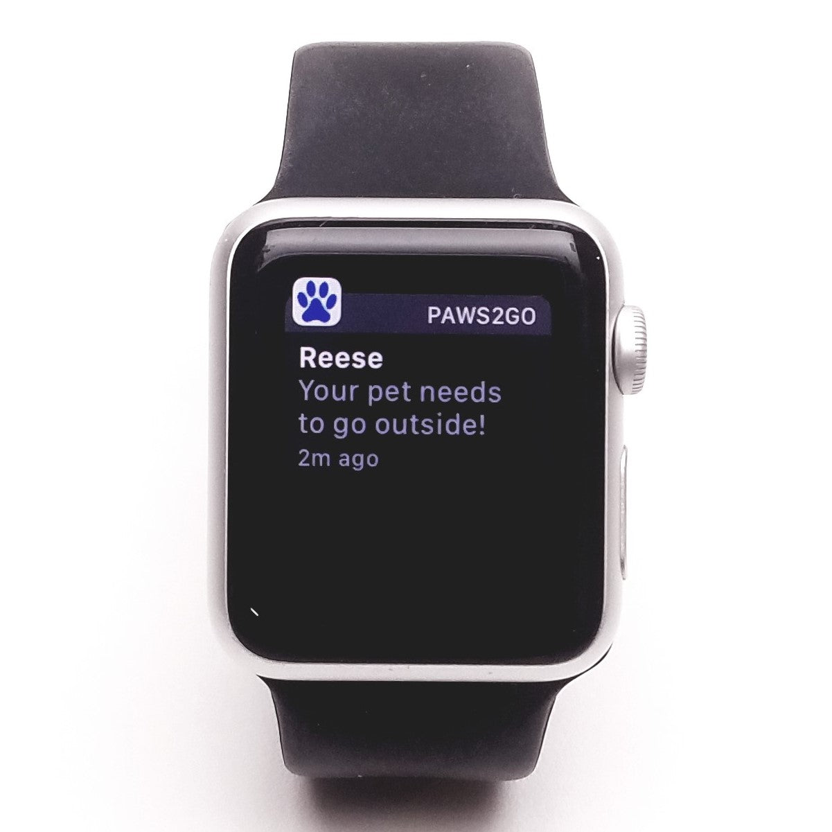 Picture of an Apple watch showing a notification after their dog touched the Paws2Go